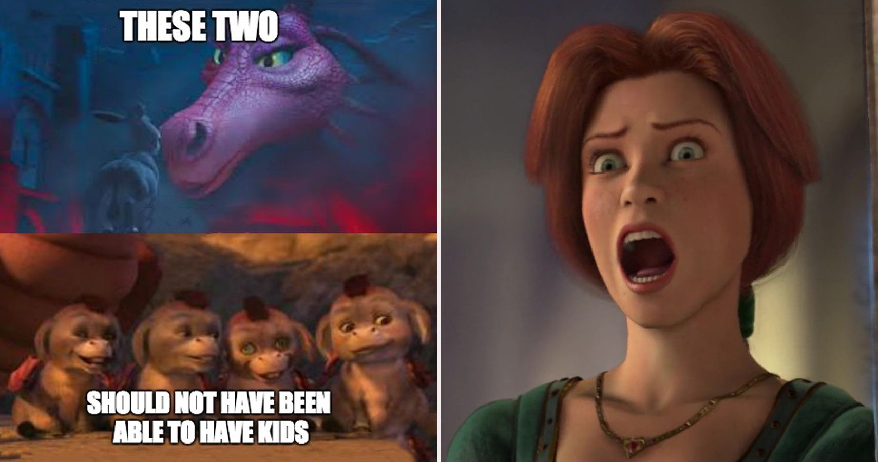 Now we know why Fiona loved Shrek - Imgflip
