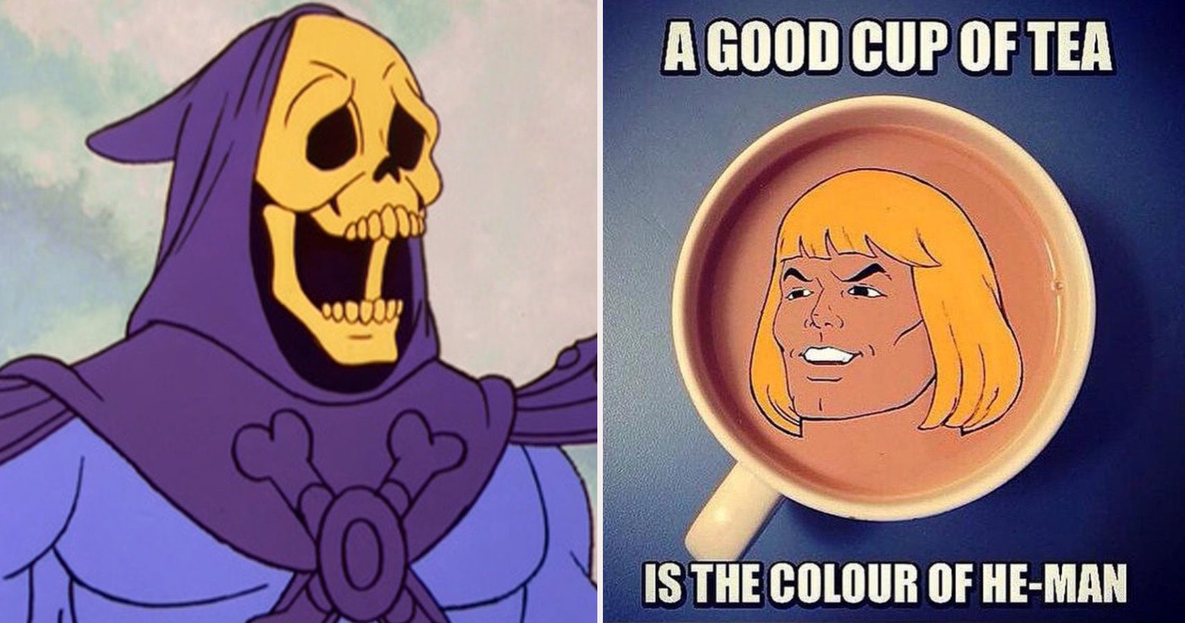 25 Hilarious He Man Memes That Would Even Make Skelet - vrogue.co