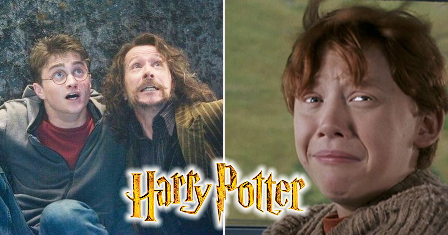 25 Incredible Harry Potter Fan Theories That Actually Got Confirmed