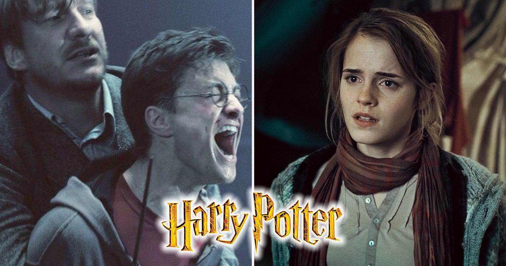 Harry Potter fan mistakes fanfic for 'Order of Phoenix