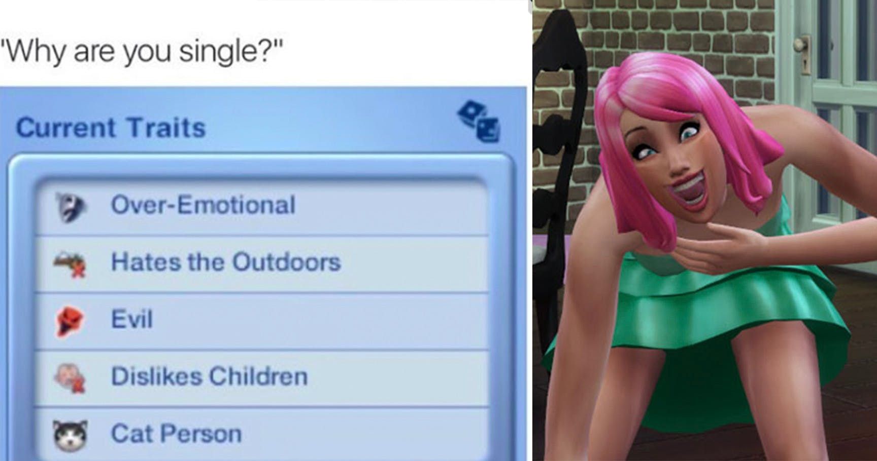 20 The Sims Memes That Will Make True Gamers Say Same