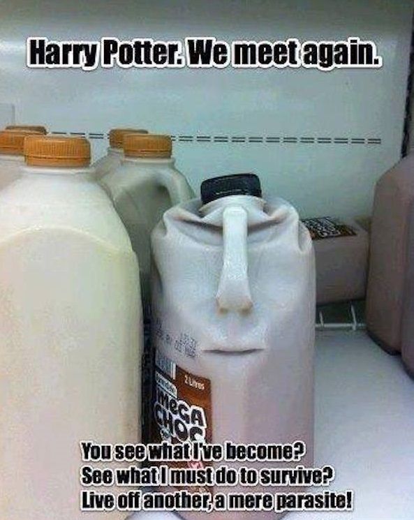 12- When Voldemort Possesses The Milk In Your Refrigerator Again