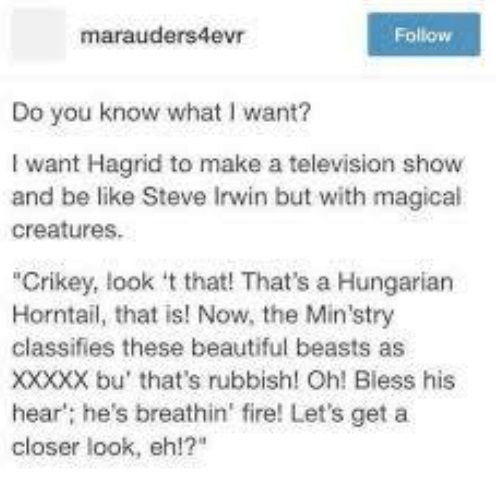 16- When Hagrid's Wildlife Show Is A Surefire Hit