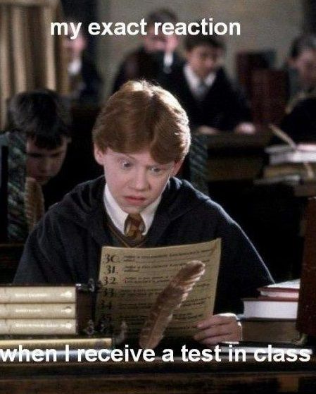 7- When Ron Weasley Spoke For Us All At Exam Time