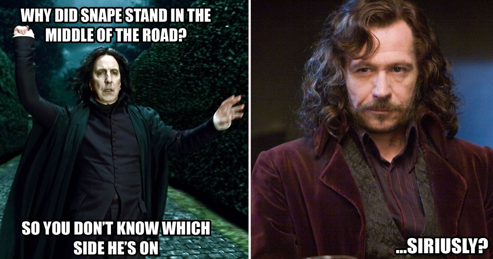 Harry Potter 25 Hilarious Snape Memes That Show He Makes No Sense