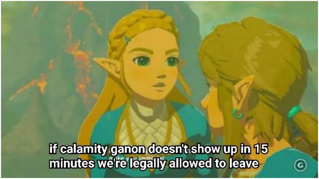 The Legend Of Zelda: 20 Comics That Show Princess Zelda Makes No Sense