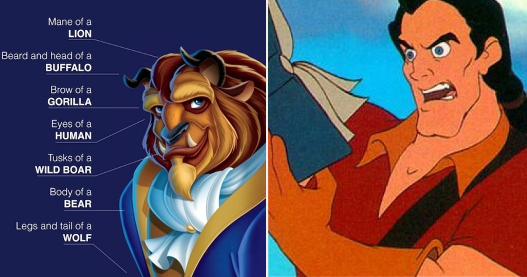 Beauty And The Beast 25 Hidden Secrets Things Only True Disney Fans Noticed