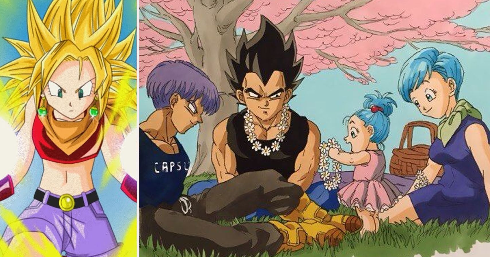 Dragon Ball: Mind-Blowing Things You Didn't Know About Pan