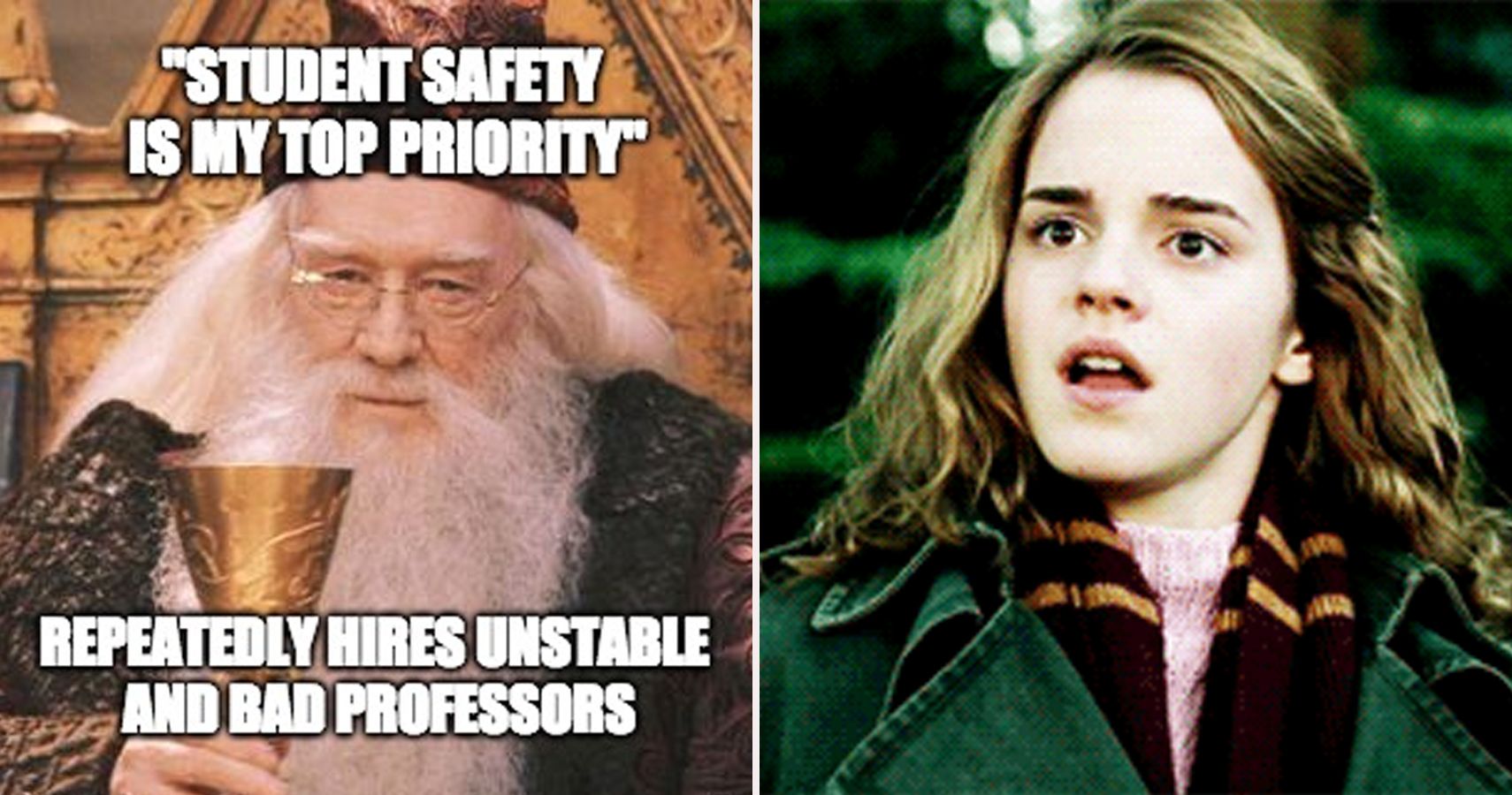 25 Hilarious Harry Potter Memes That Change The Way We See The Franchise