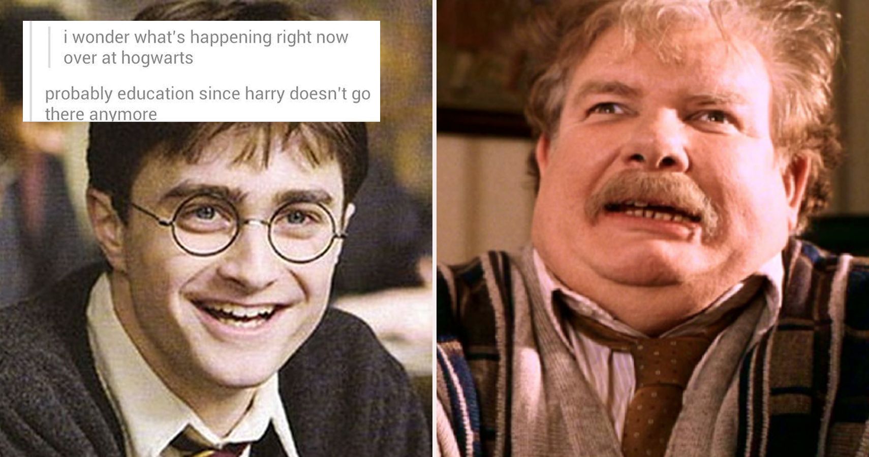 Daniel Radcliffe Reacted To Harry Potter Memes And It's The Only