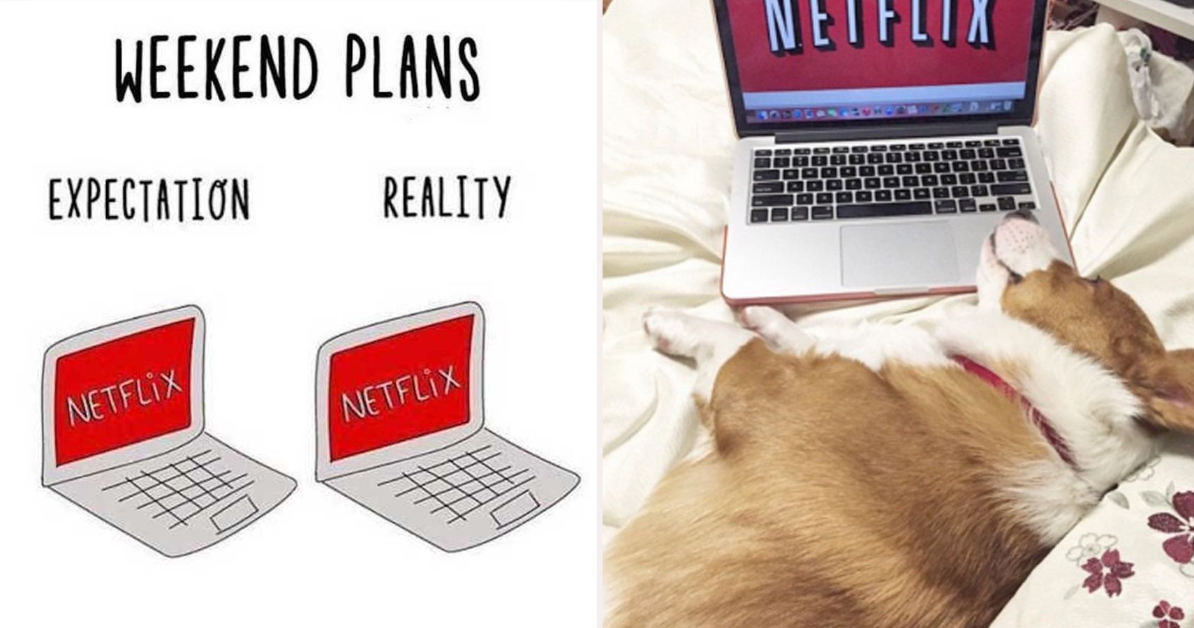 25 Hilarious Netflix Memes Only True Fans Will Understand - expectations vs reality meme brawl stars