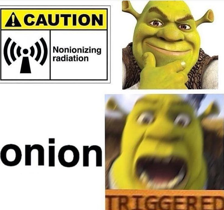 Get Shrekt 25 Hilarious Shrek Memes Only True Fans Will Understand