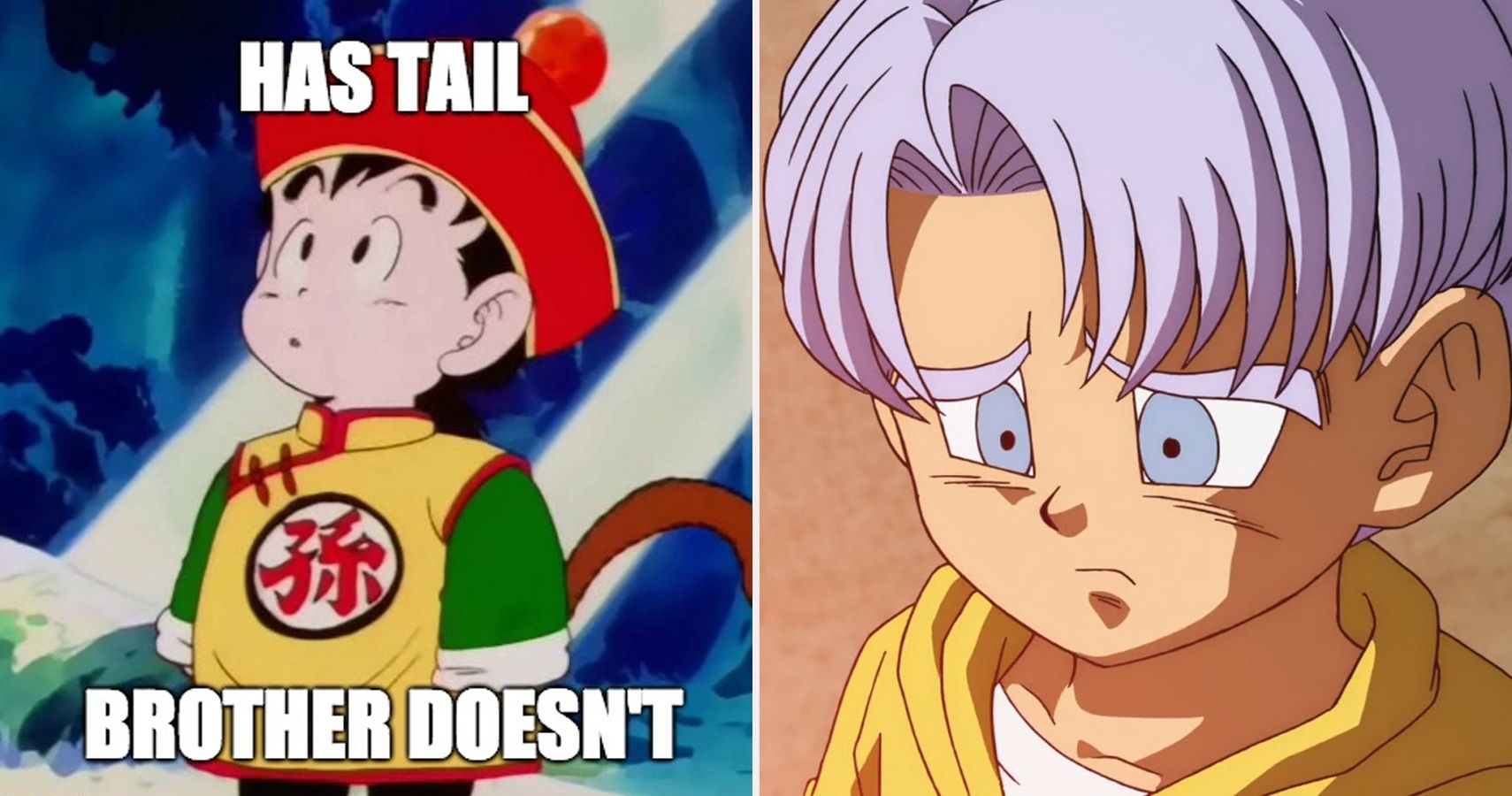 Kid Goku and Pan's relationship in DBGT • Kanzenshuu