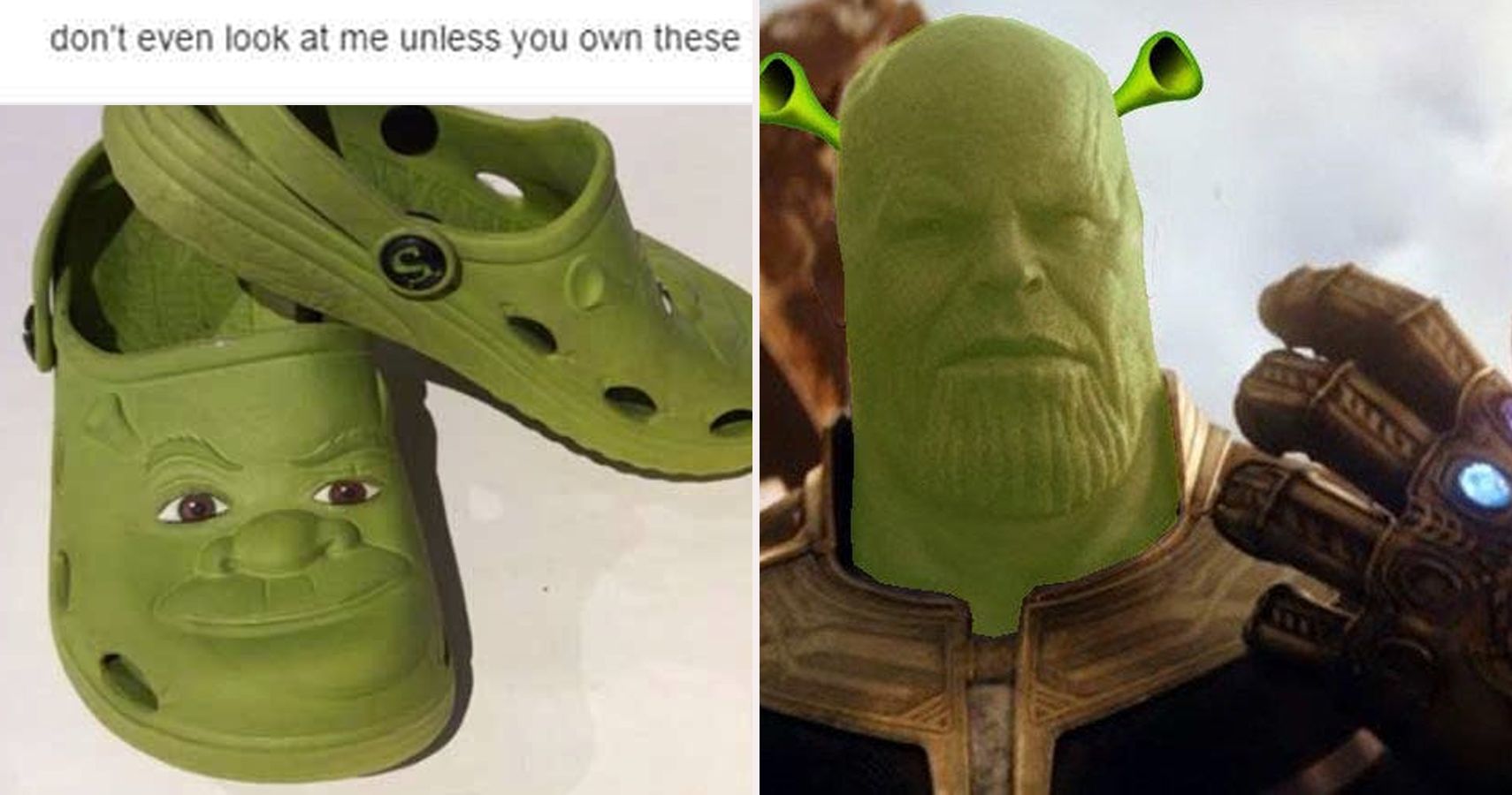 Get Shrekt: 25 Hilarious Shrek Memes Only True Fans Will Understand