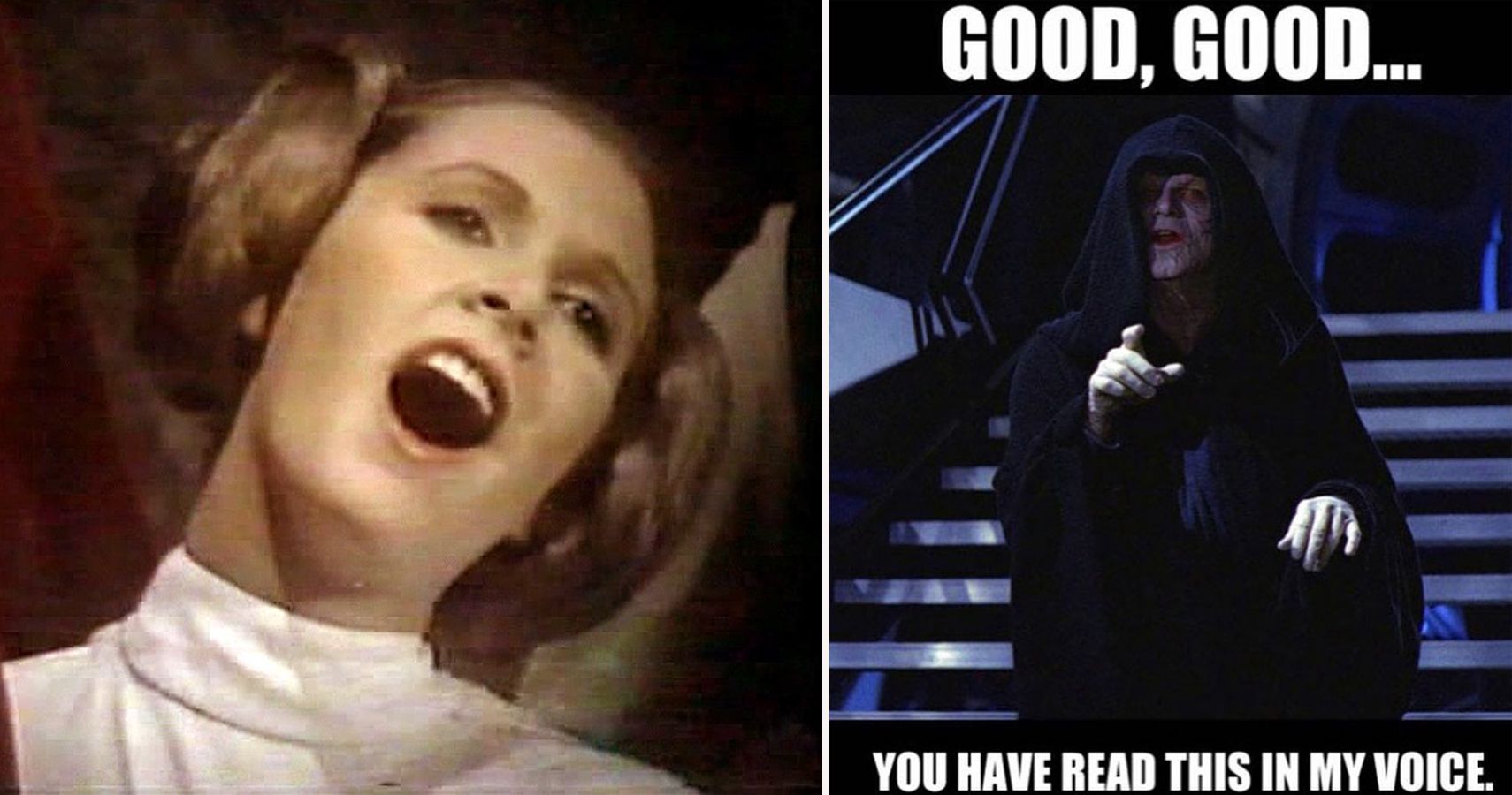30 Hilarious Star Wars Memes That Would Even Make Darth Vader Laugh