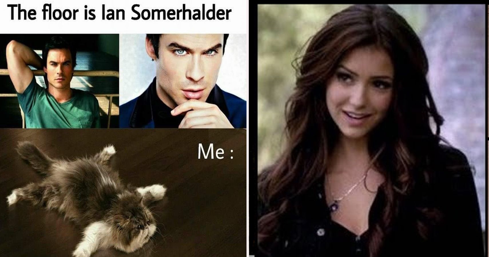 25 Vampire Diaries Memes That Are Too Hilarious For Words