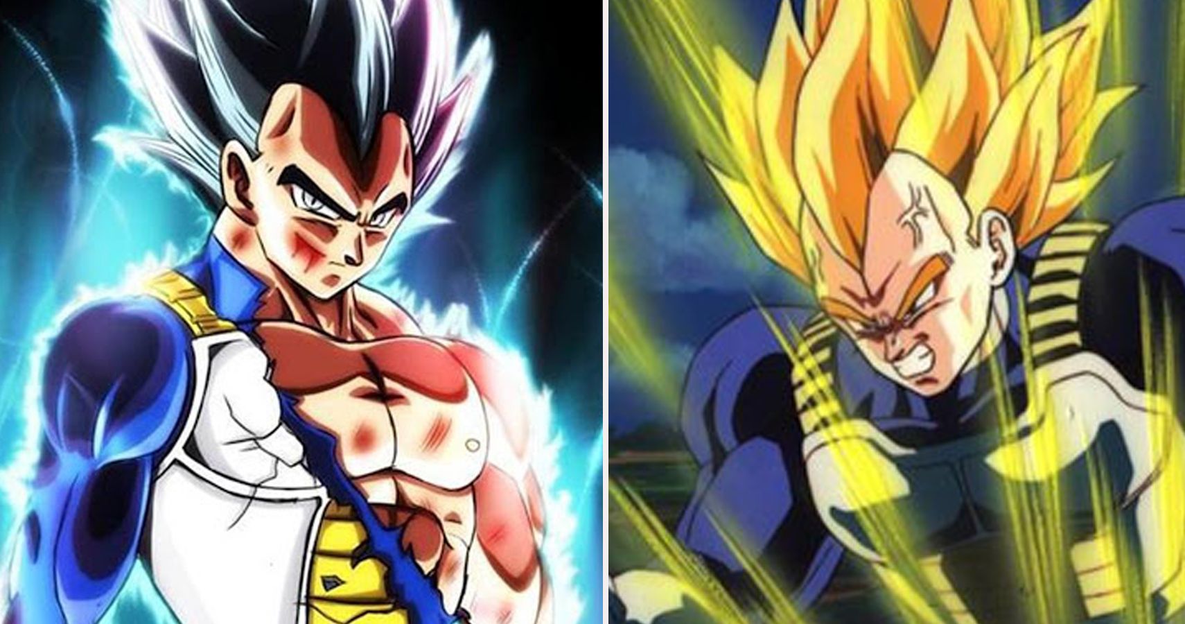 25 Weird Facts Only Super Fans Knew About Vegeta's Body