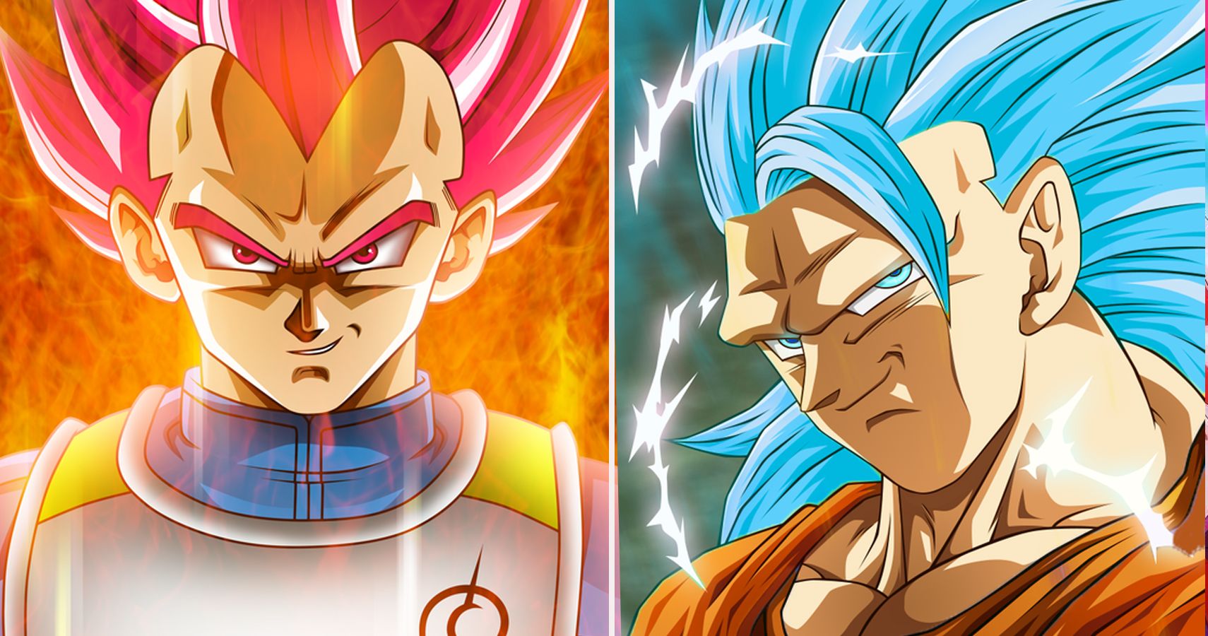 Goku and Vegeta SSJ God SSJ