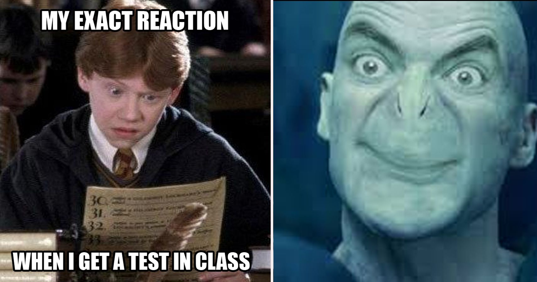 16 Hermione Memes Only True 'Harry Potter' Fans Will Appreciate