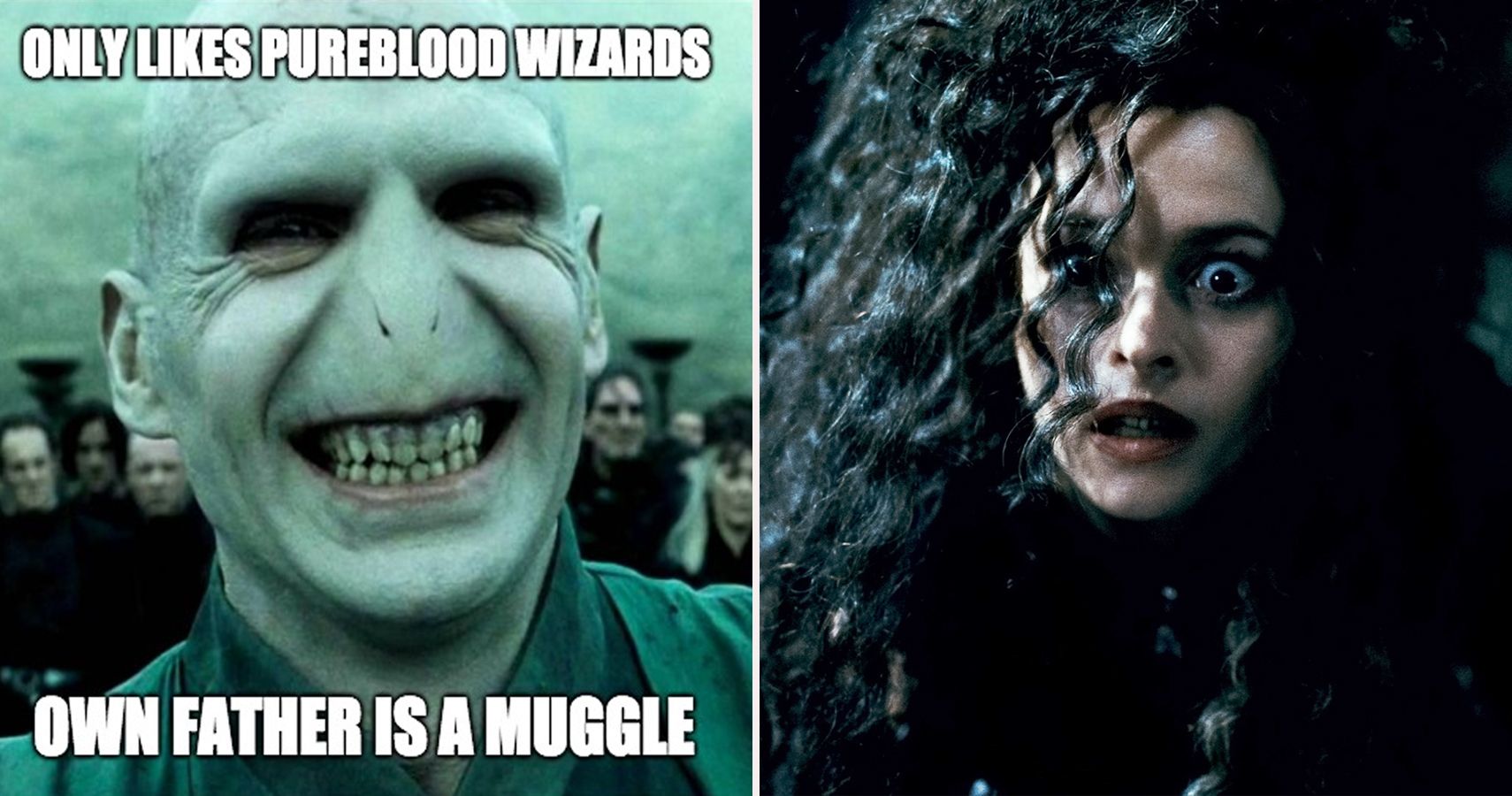Lord Voldemort Funny Laugh Meme 