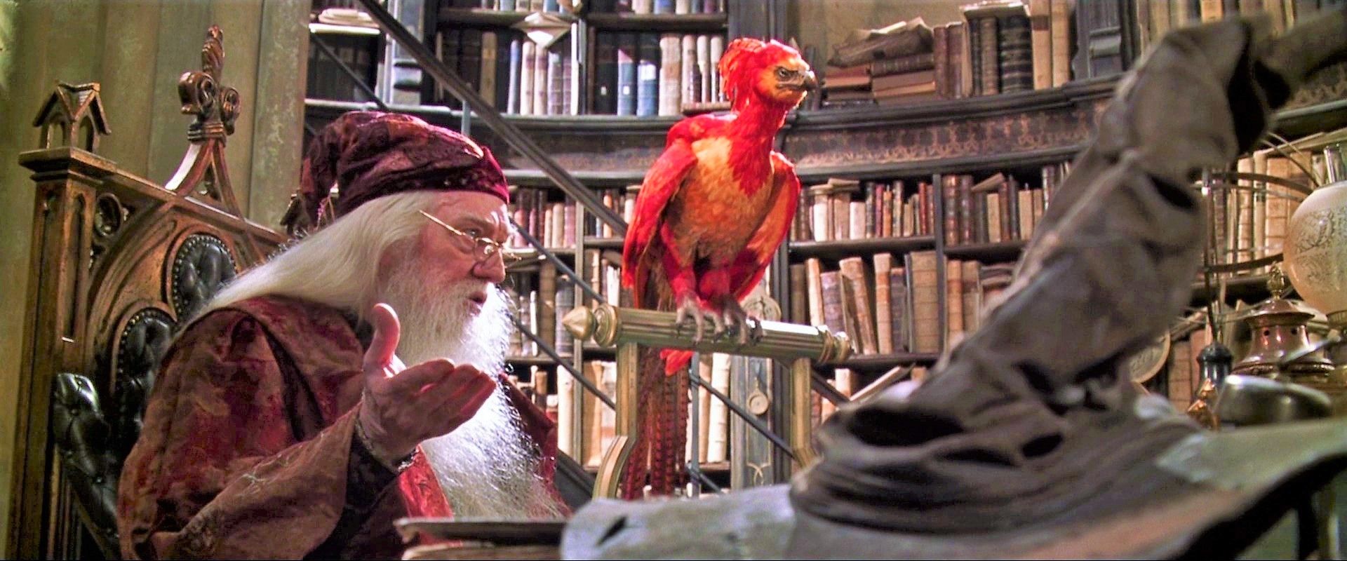 Harry Potter 20 Hidden Secrets About Dumbledore Only Potterheads Know