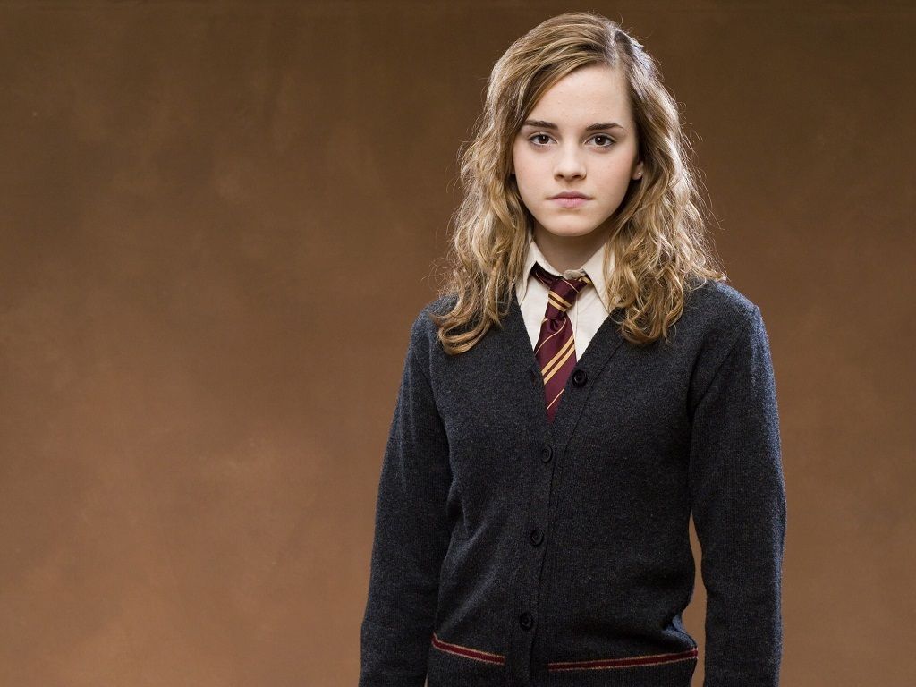 Harry Potter 15 Things Hermione Granger Did After Deathly Hallows