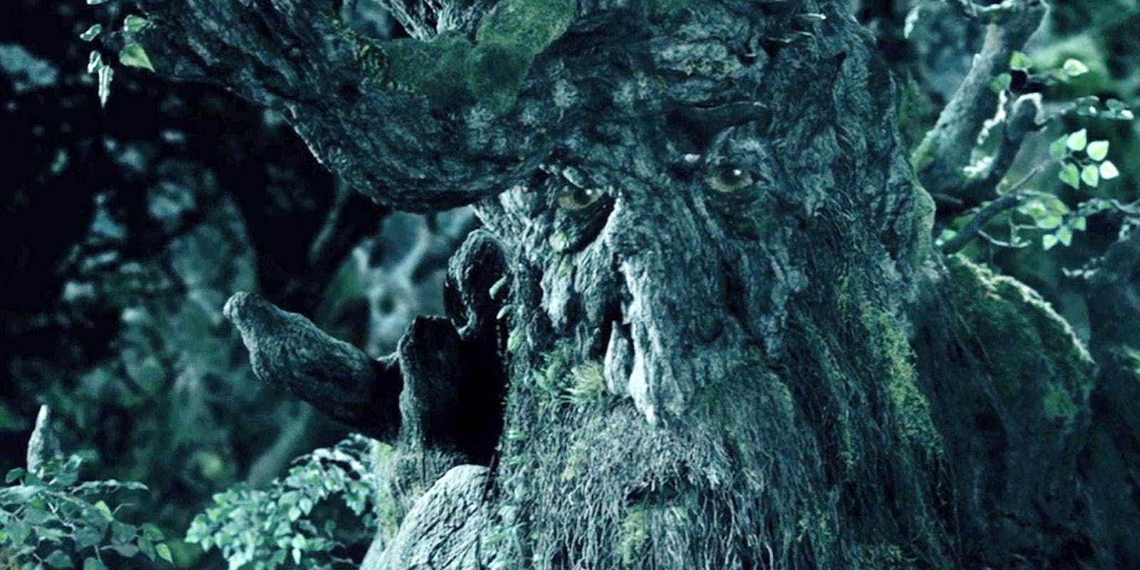 Ent from lord of the rings by joelmann on DeviantArt