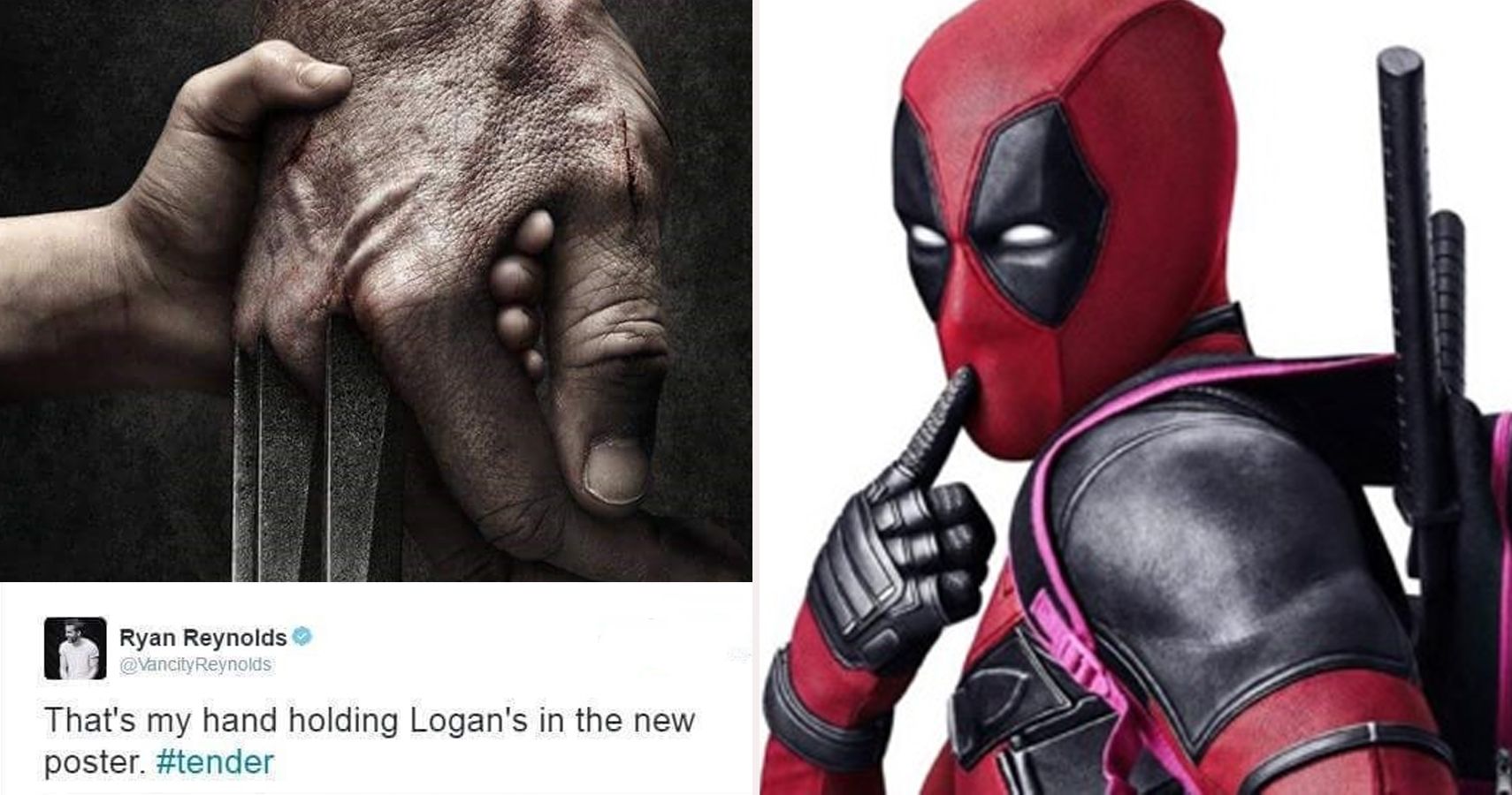 25 Hilarious Deadpool Vs Wolverine Memes Only True Fans