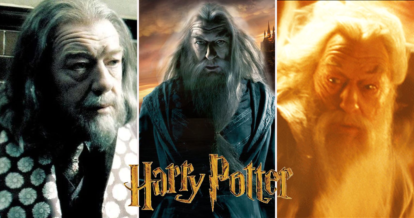 Harry Potter 20 Hidden Secrets About Dumbledore Only Potterheads Know