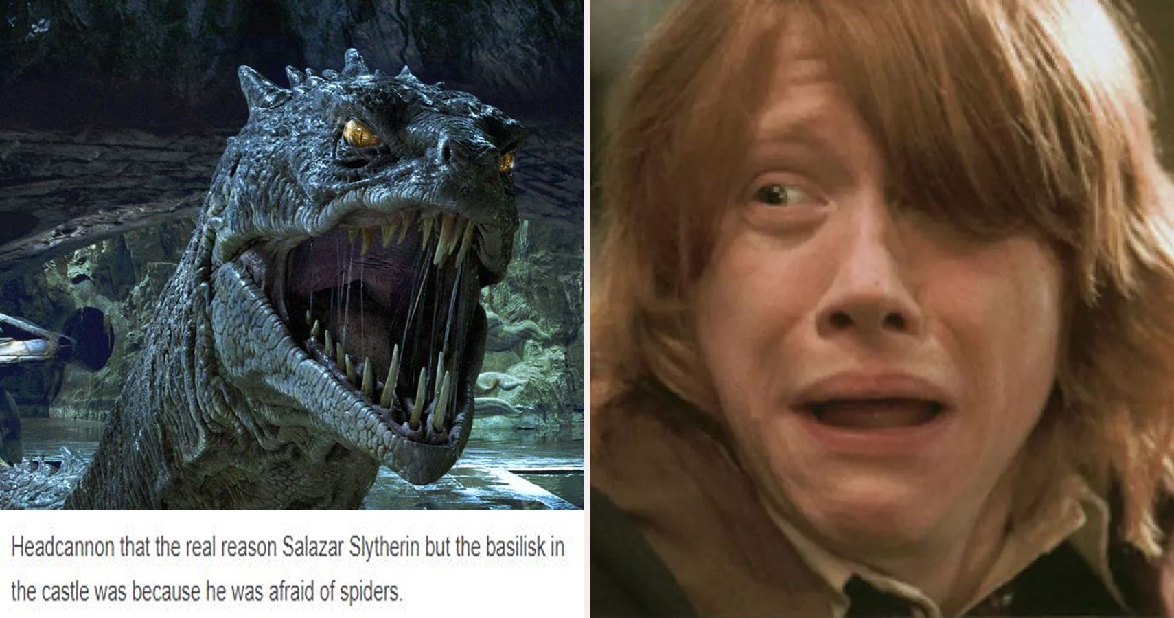 24 Tumblr Posts That Made Us Completely Rethink Harry Potter