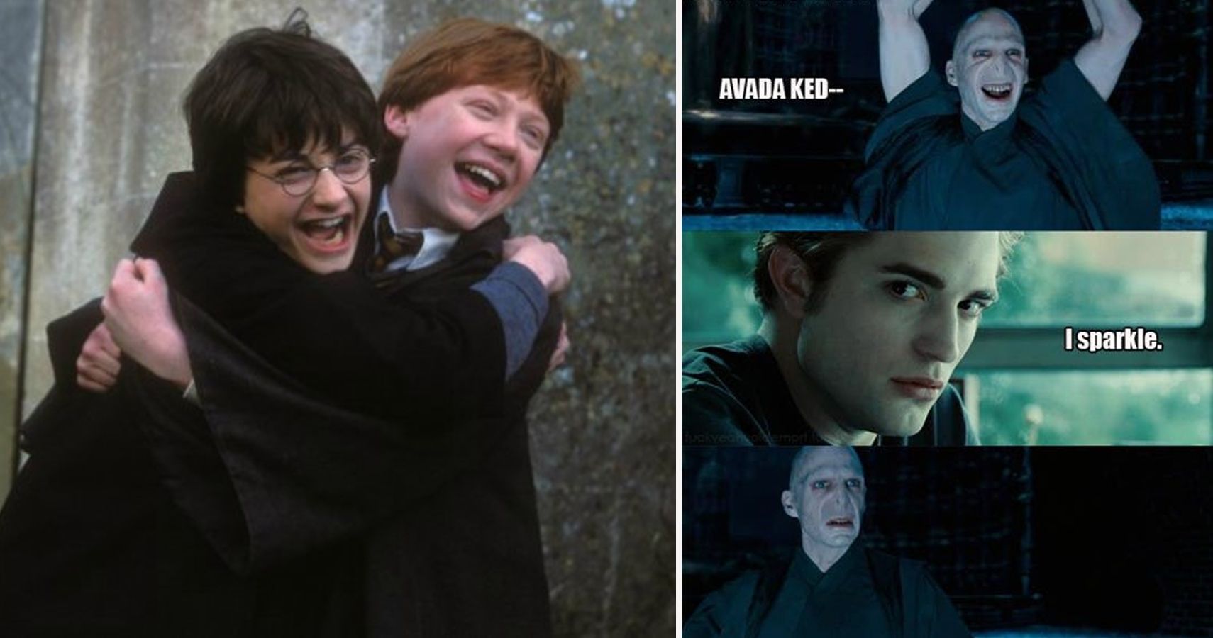 25 Twilight vs. Harry Potter Memes That Will Make Fans Choose