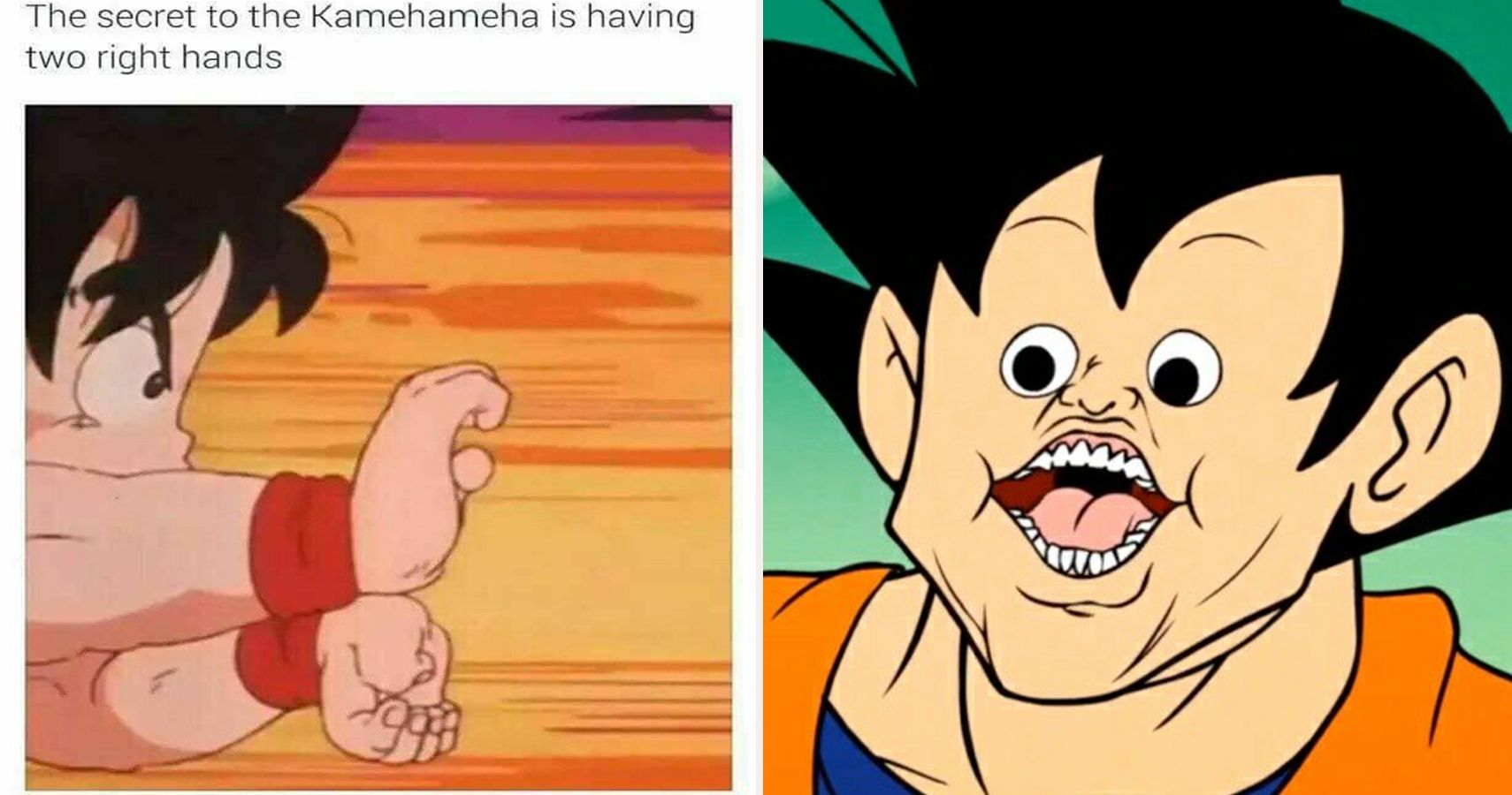 hadouken vs kamehameha meme