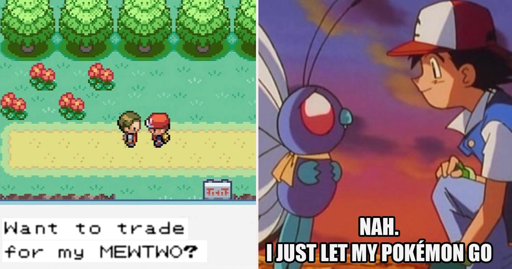 Pokemon Memes That Only True Fans Understand