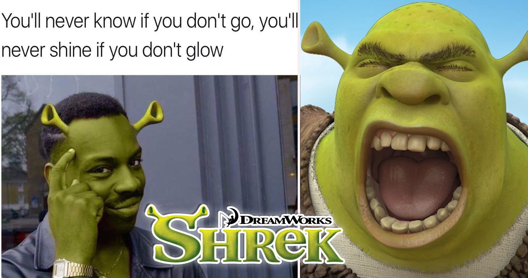 shrek okay - Roblox