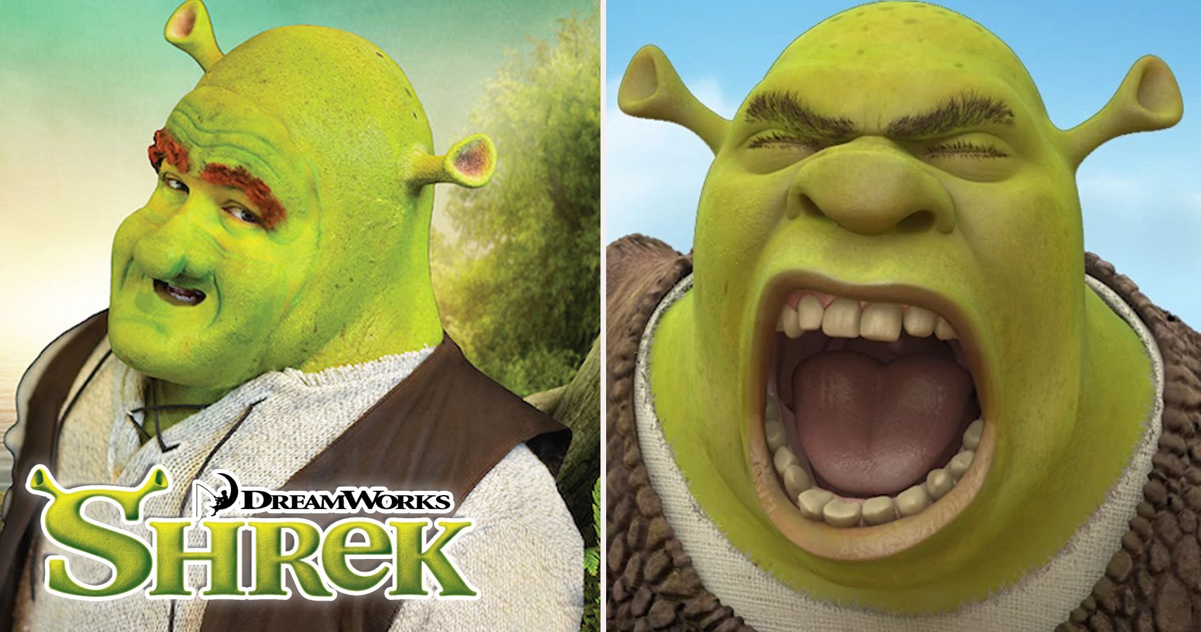 Shrek and Fiona  Explain a film plot badly, Shrek memes, Famous cartoon  couples