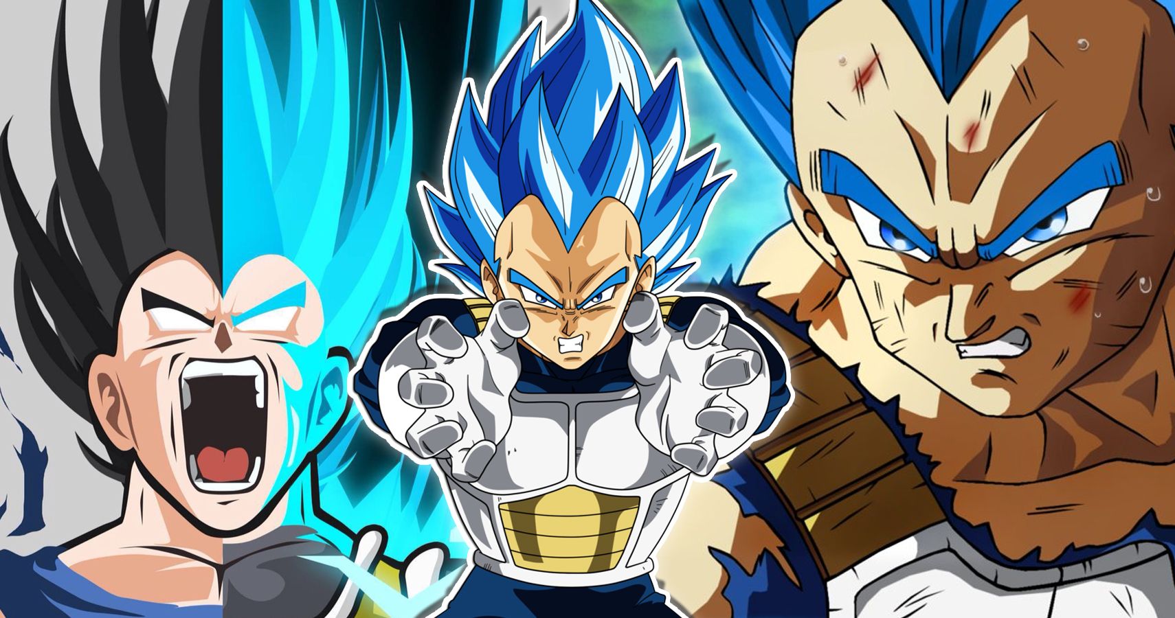 Dragon Ball Z, Super Saiyan Blue Vegeta