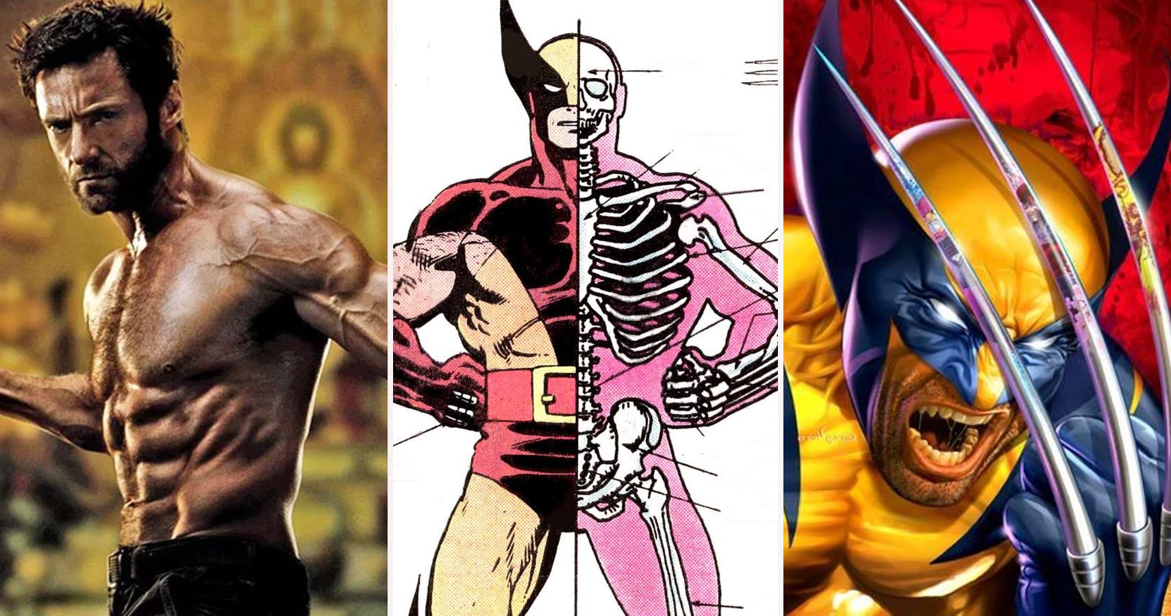X-Men: 20 Weird Facts Only Super Fans Know About Wolverine's Body