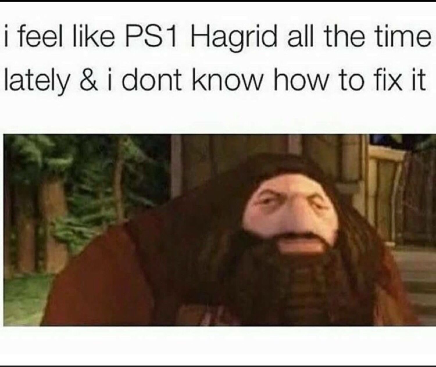 13- When PS1 Hagrid Has The Saddest Face You Ever Saw