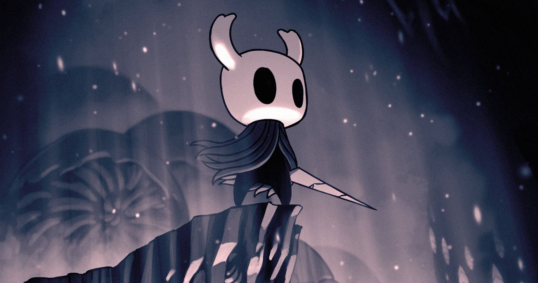 Hollow Knight Switch