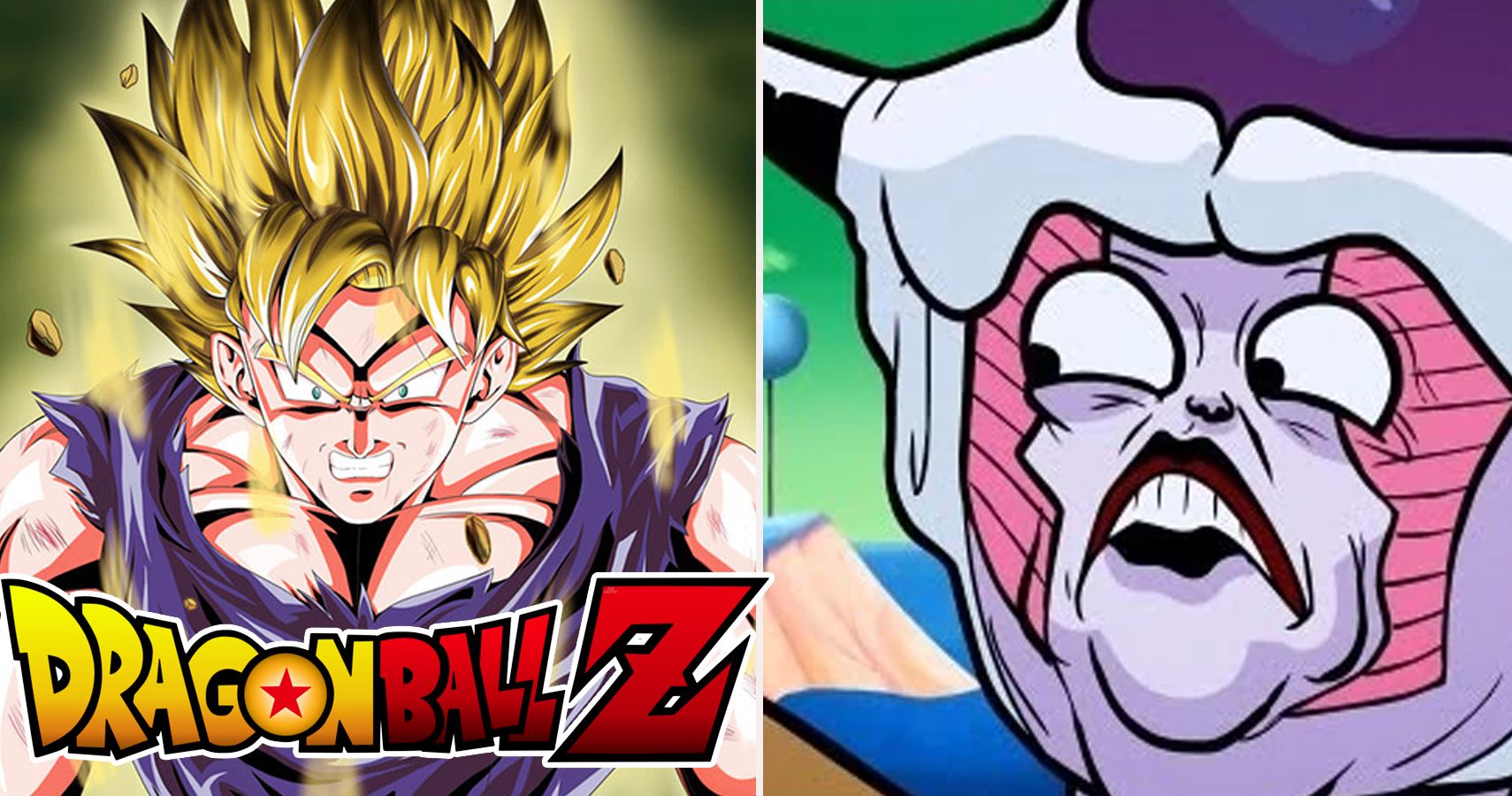 Dragon Ball Z 25 Crazy Things Only Super Fans Knew About The Frieza Saga