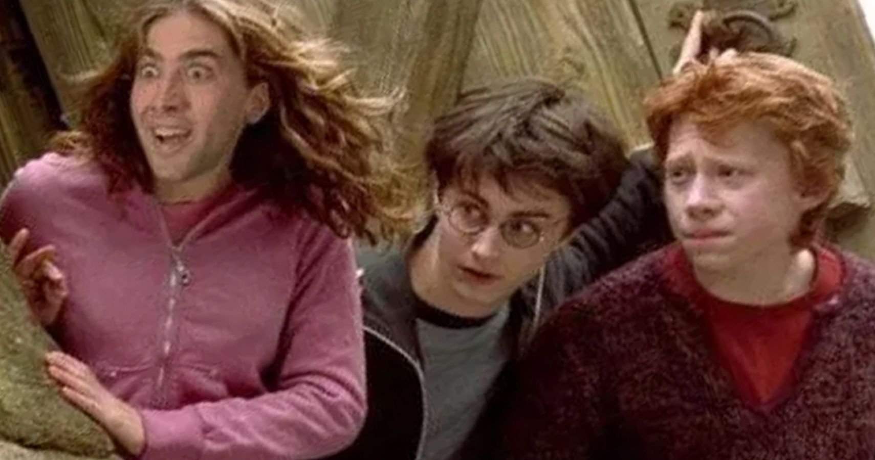 Harry Potter: 10 Memes That Perfectly Sum Up Harry & Hermione's Friendship