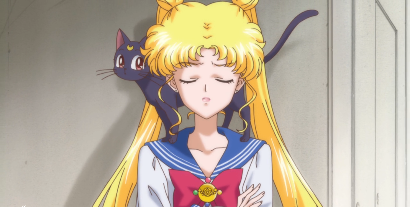 Rabbit On The Moon: 20 Incredible Facts About Sailor Moon