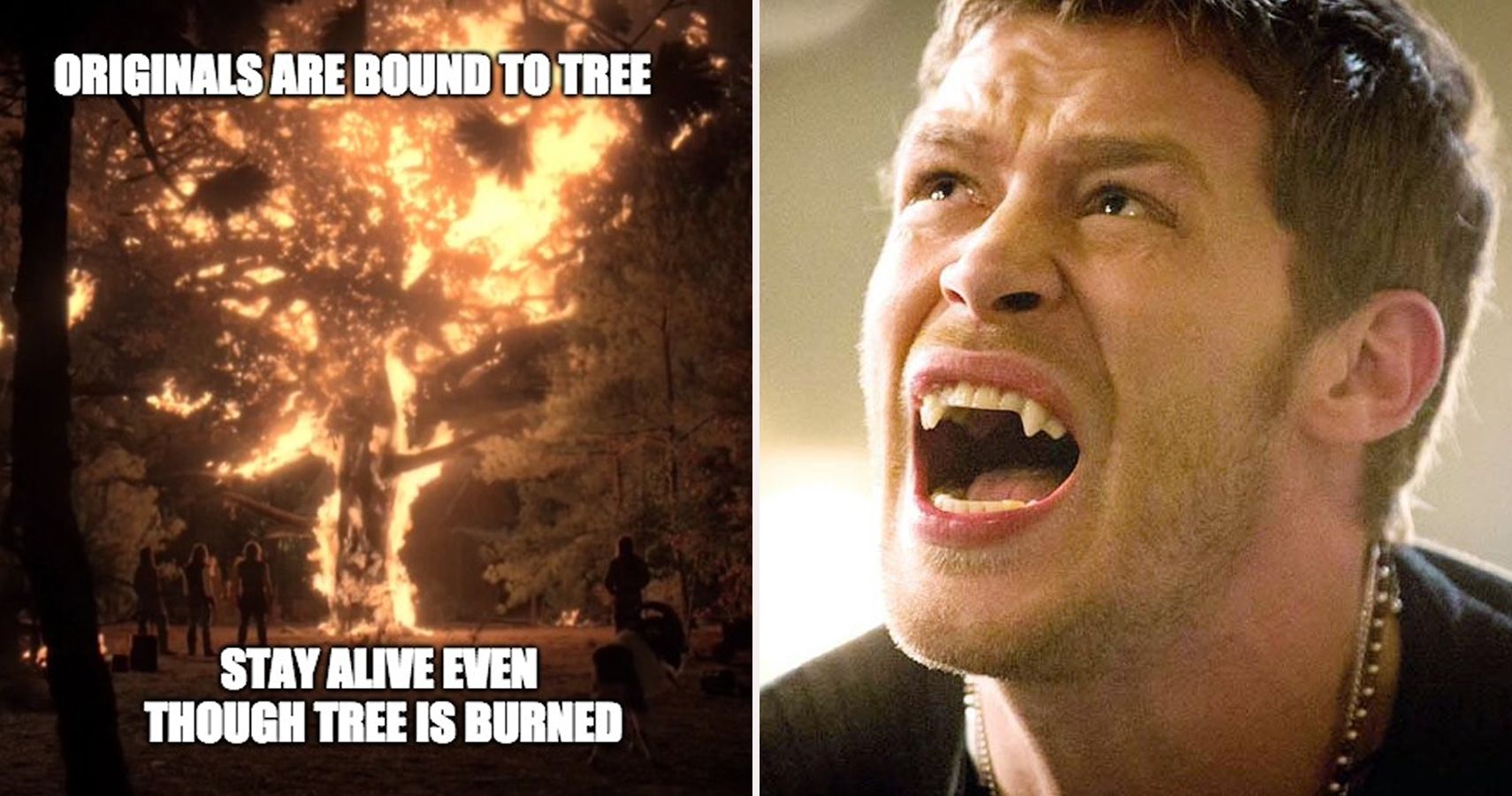 The Originals: 20 Things That Make No Sense About The Show