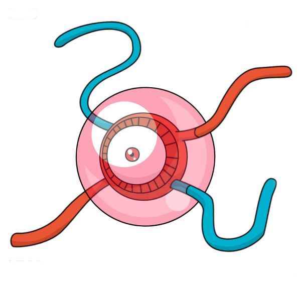 29 Things Superfans Never Knew They Could Do In Pokémon Gold And Silver