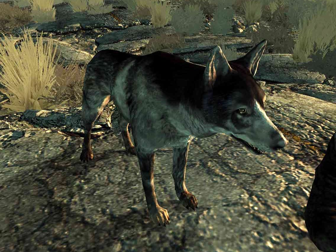 25 Things That Happened Between Fallout 76 And Fallout 3