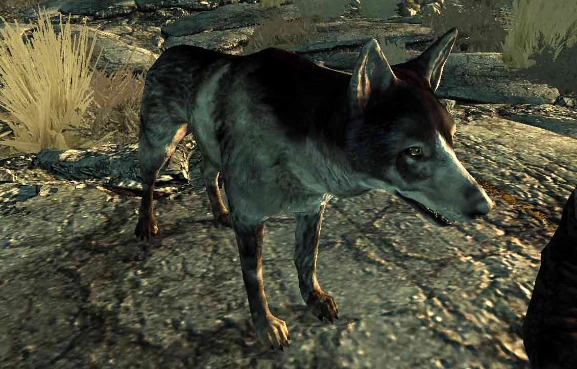 25 Amazing Things Deleted From Fallout 3 (That Would Have Changed Everything)