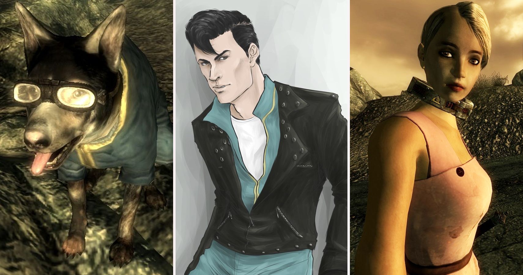 Fallout 3: 25 Things About The Companions That Make No Sense