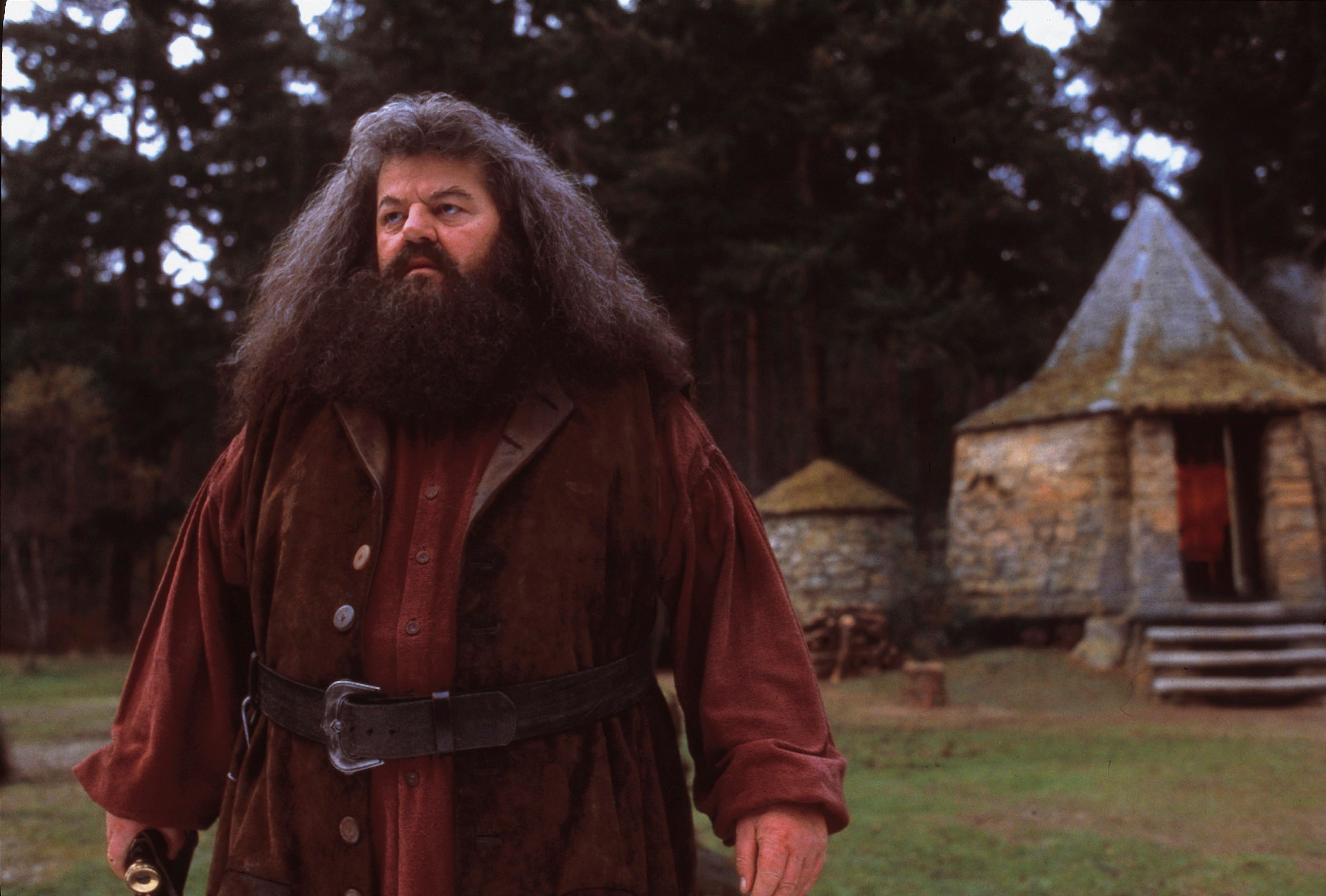 Harry Potter: 10 Hidden Details About Hagrid's Costume