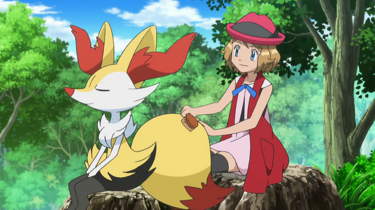 Pokémon 25 Things Even True Fans Missed About Serena 