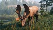 The Ultimate Guide To Legendary Animals In Red Dead Redemption 2